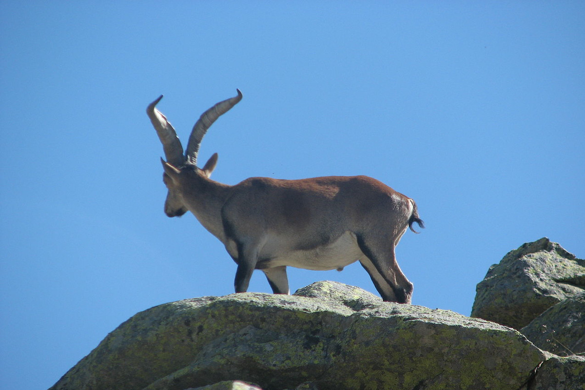 Turismo - El Remanso de Gredos